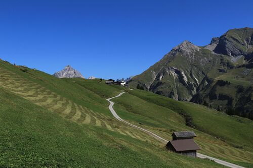 Elsner / Pilgern in Vorarlberg