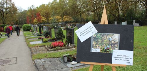 Tafeln mit Impulsen standen im Friedhof Rohrbach.