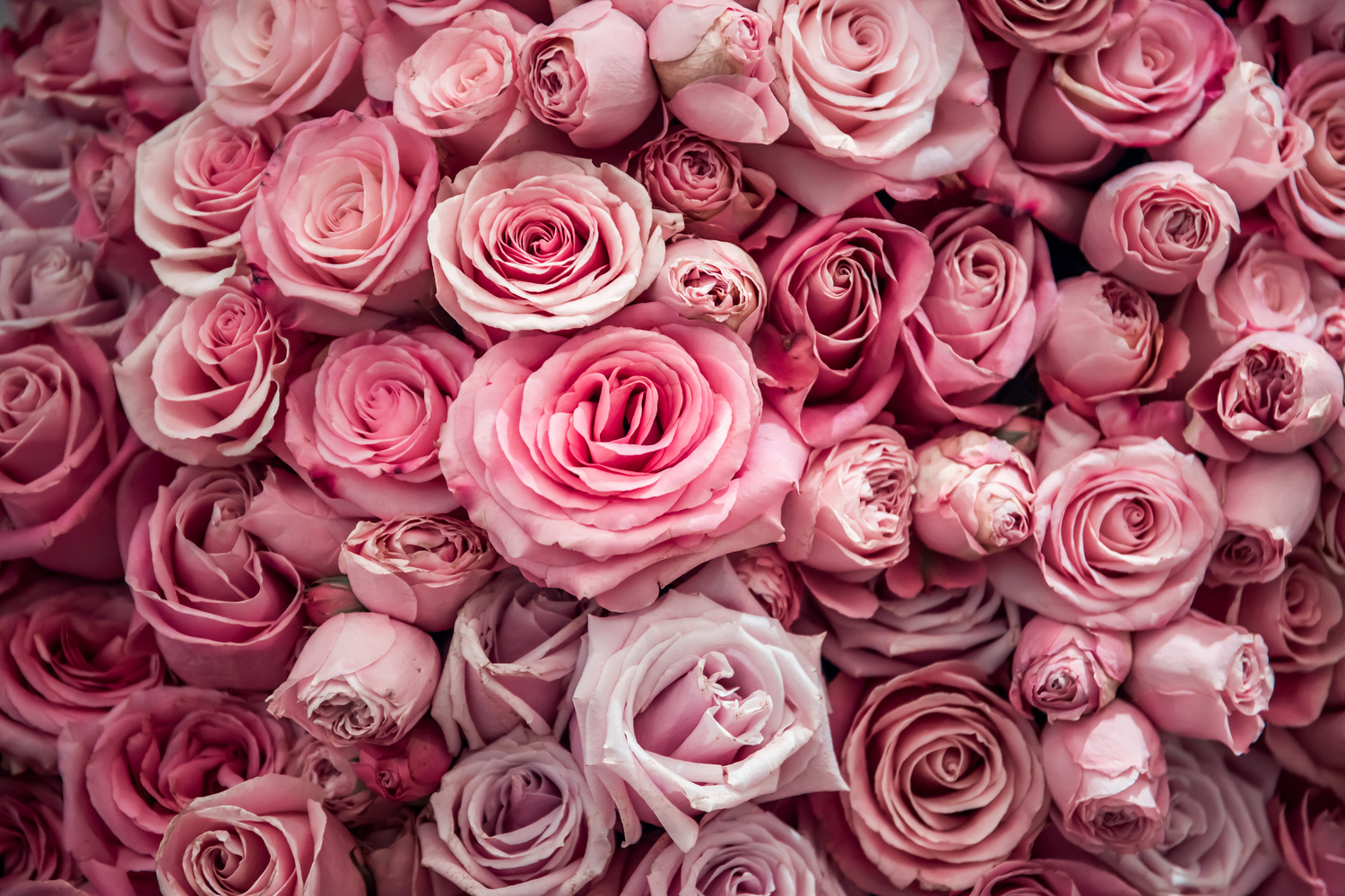 joi - stock.adobe.com